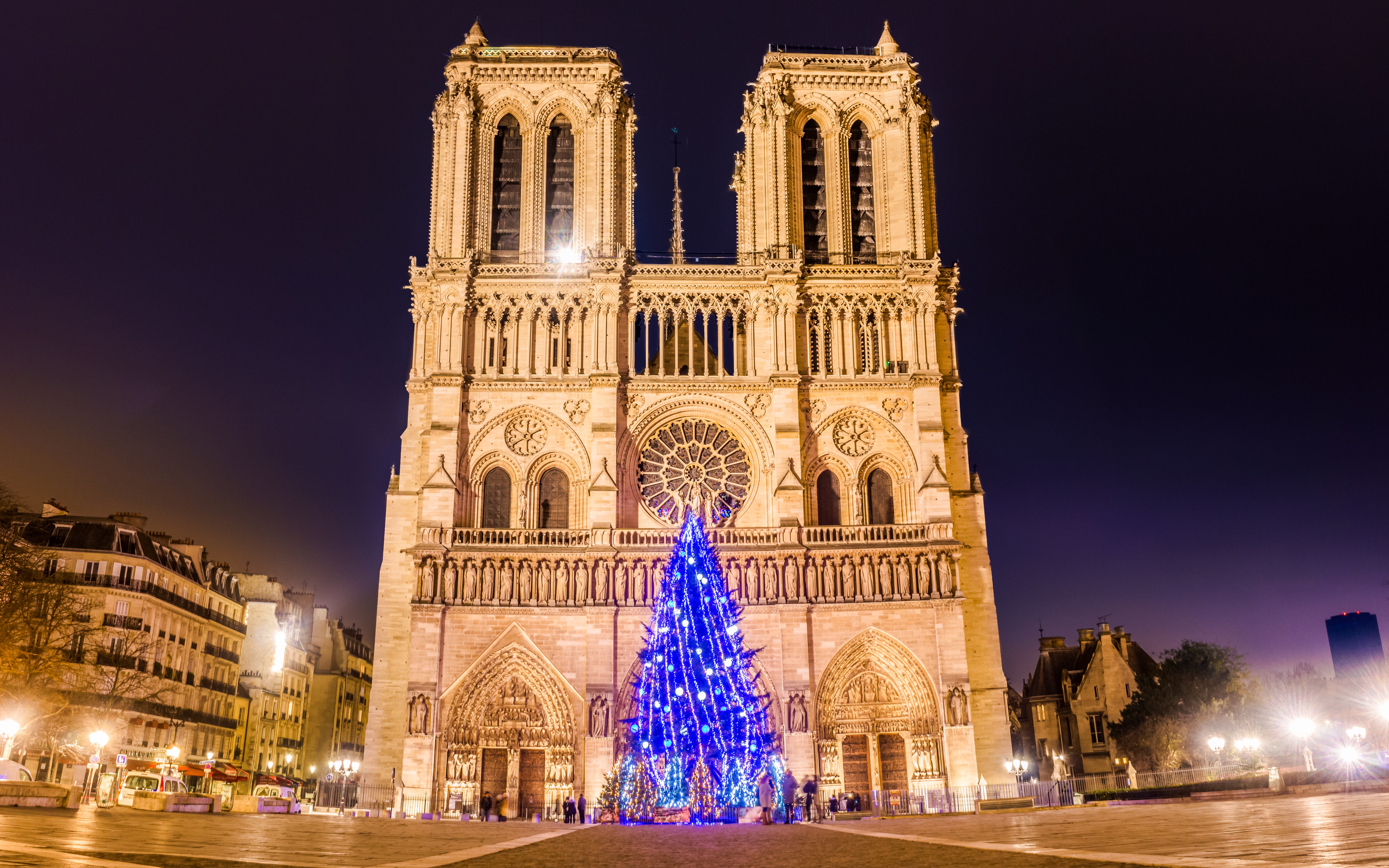 Notre Dame Cathedral with illuminated Christmas tree in Paris.