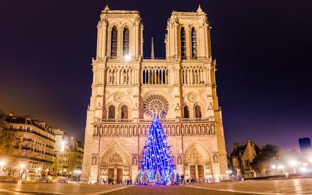 Notre Dame Cathedral with illuminated Christmas tree in Paris.