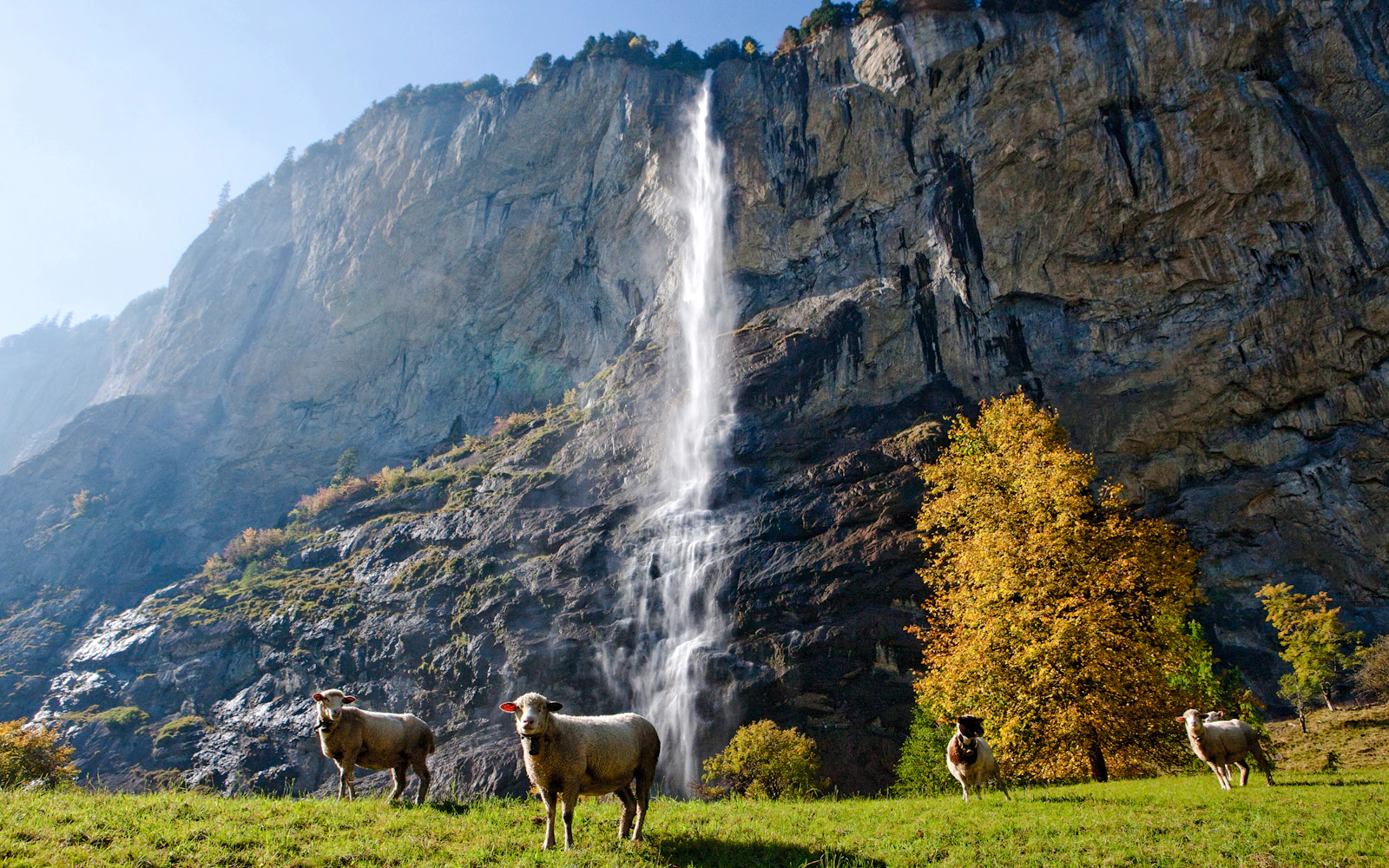From Interlaken: Grindelwald & Lauterbrunnen Guided Day Trip Image 5