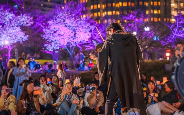 Musician performing at night during Ōgimachi Sakura Festival with illuminated cherry blossoms.