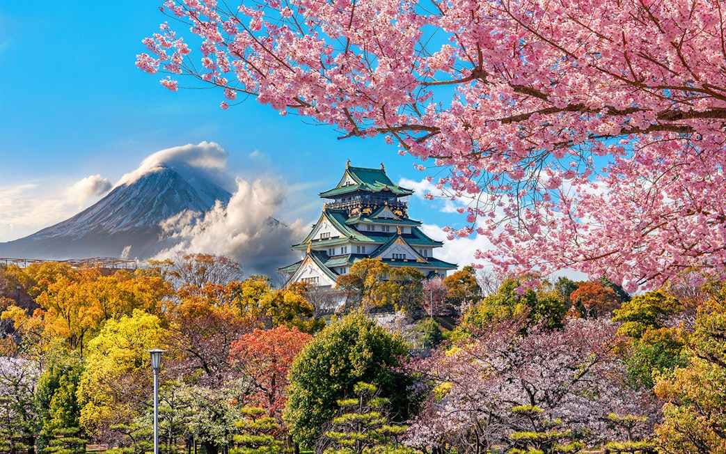 Osaka Castle surrounded by cherry blossoms and autumn foliage.