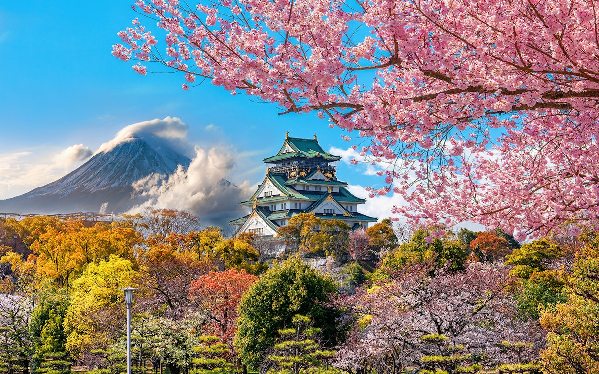 Osaka Castle surrounded by cherry blossoms and autumn foliage.