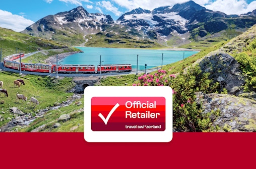 Swiss Travel Continuous Pass: Unlimited Travel on Train, Bus & Boat