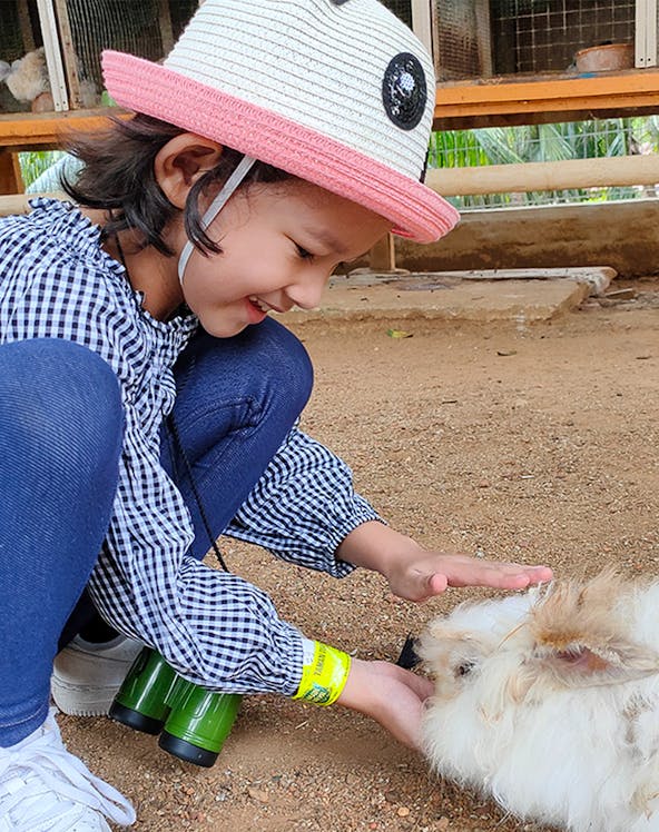 Child petting a rabbit at Melaka Crocodile & Recreational Park.