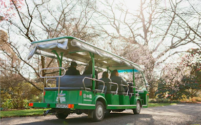 Tour group on a green tram exploring Christchurch Botanic Gardens in spring.