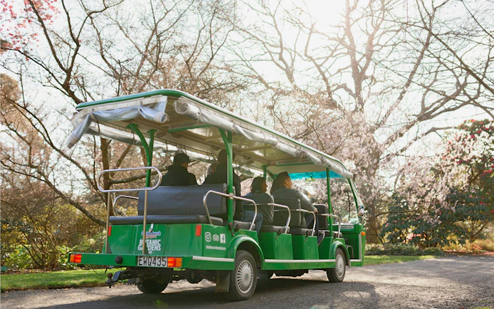 Tour group on a green tram exploring Christchurch Botanic Gardens in spring.