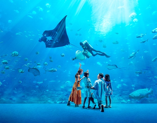 Family observing diver with manta ray at S.E.A. Aquarium Singapore.