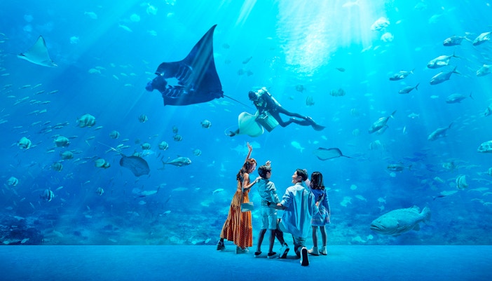 Family observing diver feeding fish in large tank at S.E.A. Aquarium, Singapore.