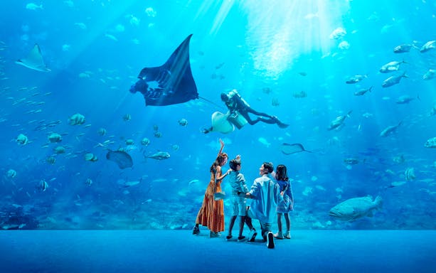 Family observing diver with manta ray at S.E.A. Aquarium Singapore.