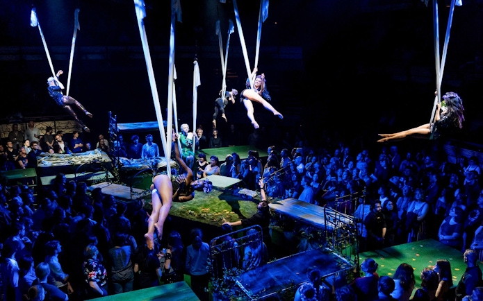 Aerial performers in a seated venue during "A Midsummer Night's Dream" show.