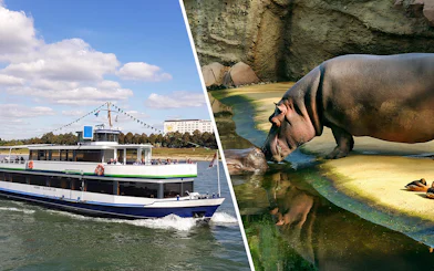 Cologne sightseeing cruise boat on the Rhine River with a hippo at a zoo.
