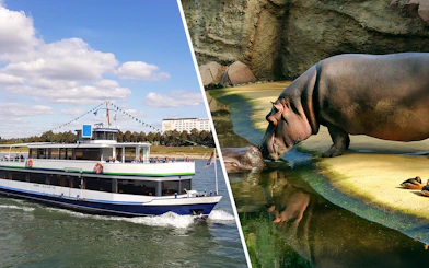Cologne sightseeing cruise boat on the Rhine River with a hippo at a zoo.