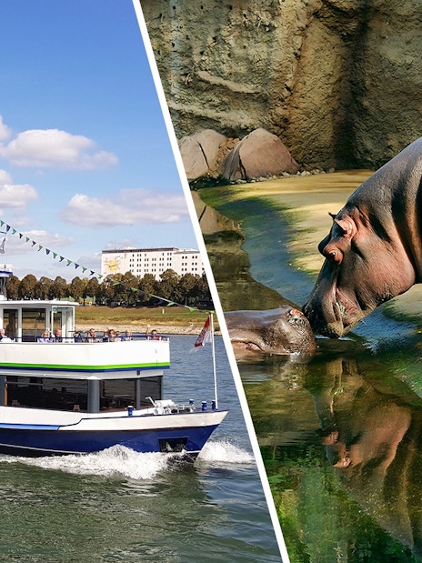Cologne sightseeing cruise boat on the Rhine River with a hippo at a zoo.