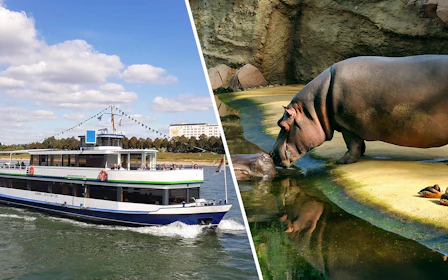 Combo: Cologne City Sightseeing Cruise + Cologne Zoo