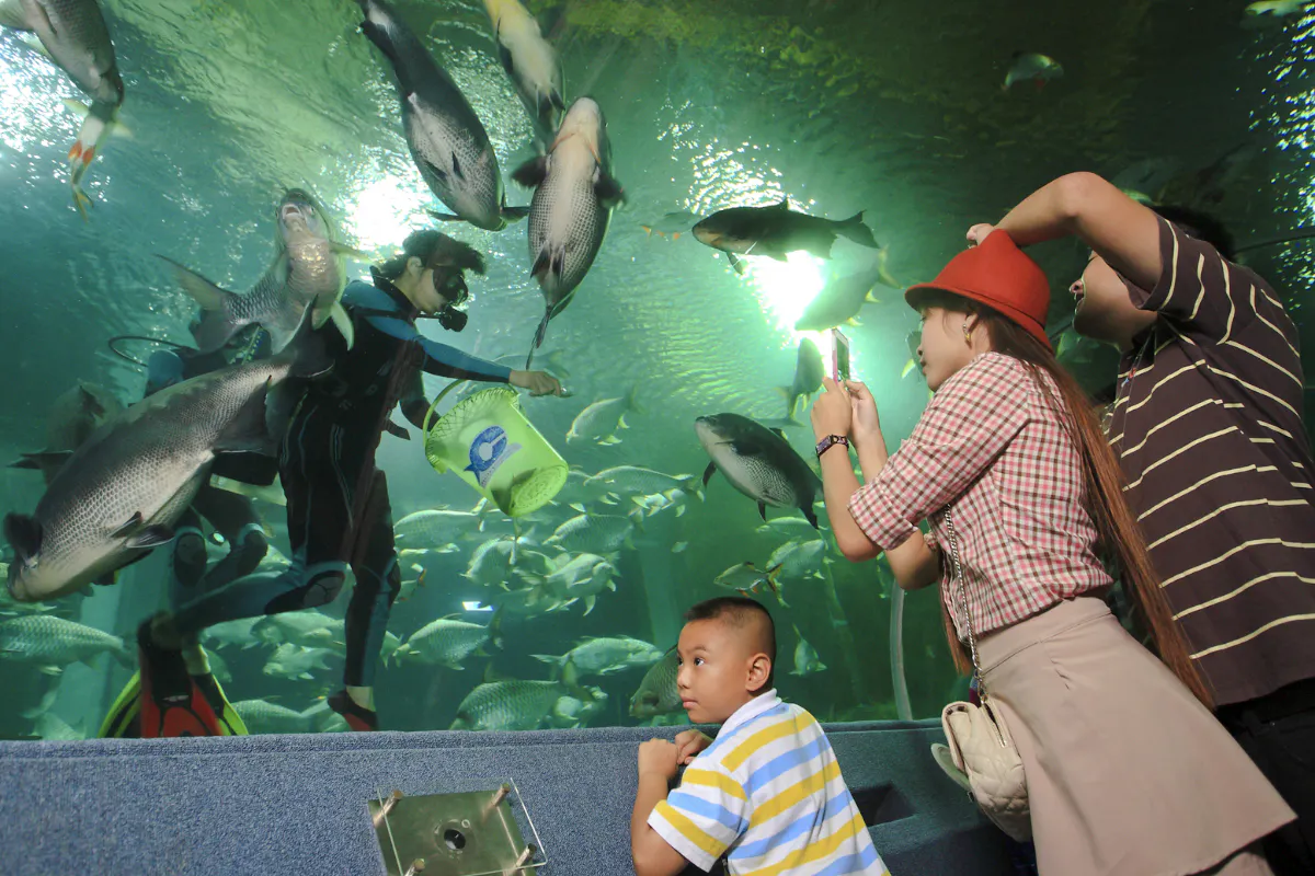 Chiang Mai Zoo & Aquarium Tickets Image 6