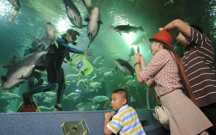 Chiang Mai Zoo & Aquarium Tickets