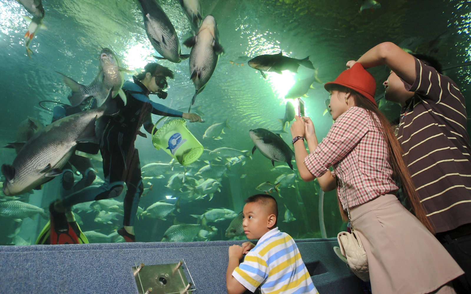 Chiang Mai Zoo & Aquarium Tickets Image 6