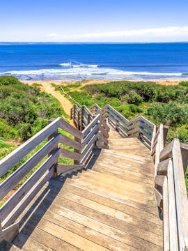 Phillip Island Tours