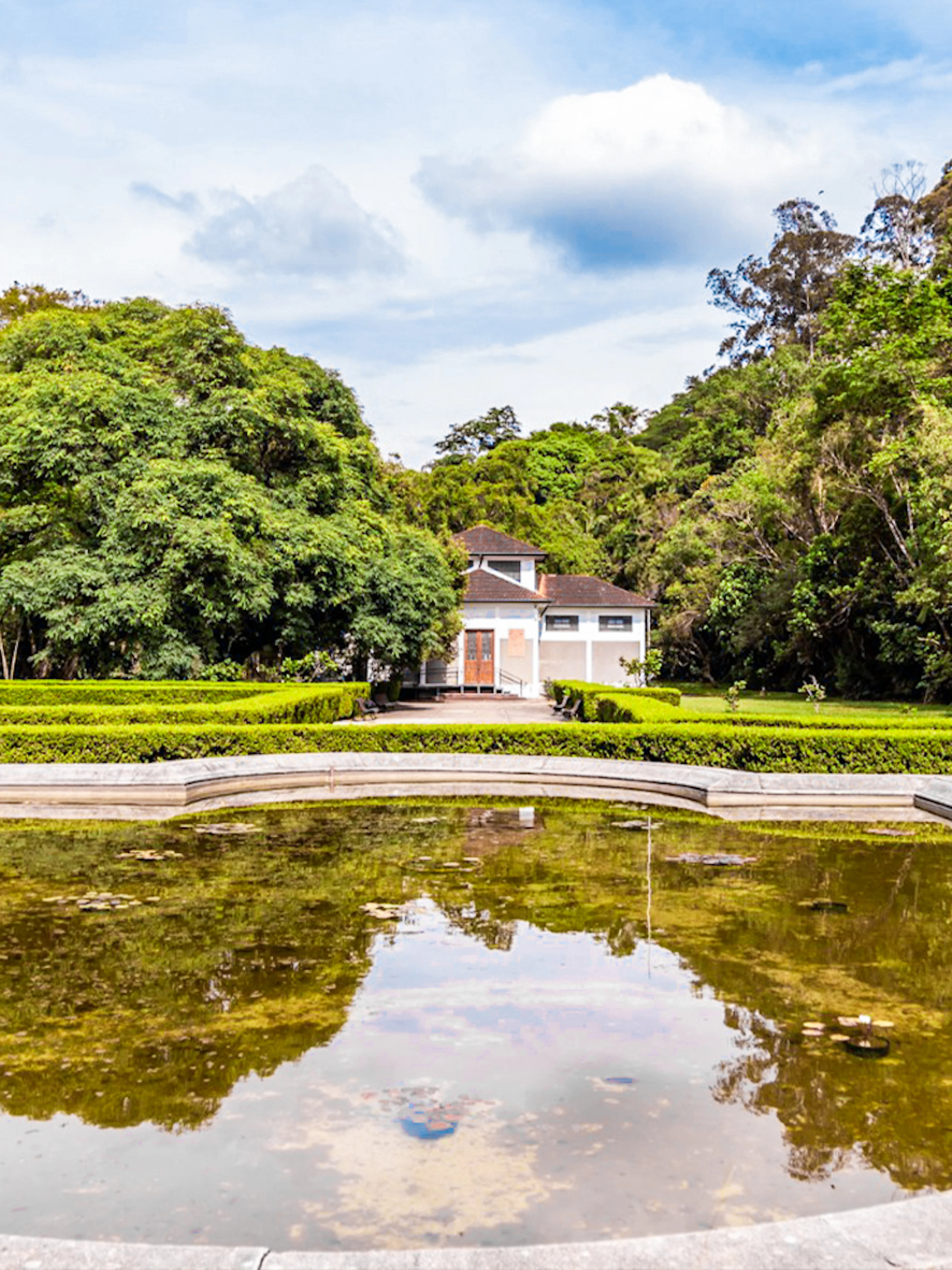 Reflective pond and lush greenery at Jardim Botânico, São Paulo.