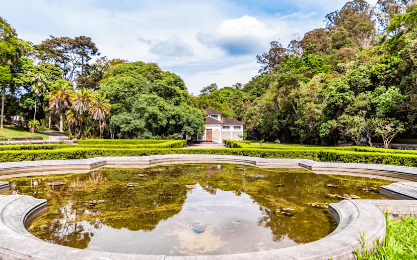 Reflective pond and lush greenery at Jardim Botânico, São Paulo.