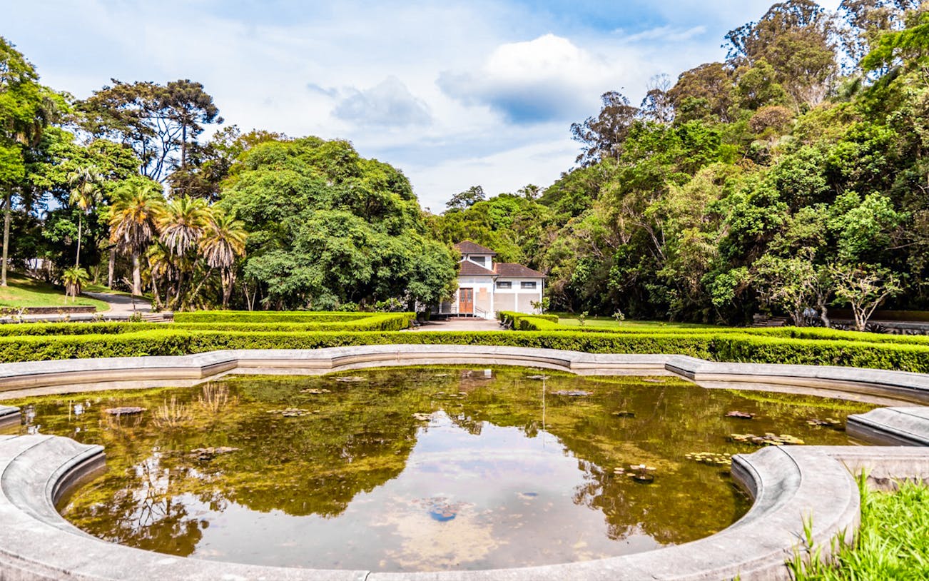 Reflective pond and lush greenery at Jardim Botânico, São Paulo.