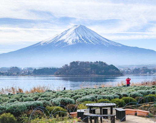 Visitor photographing Mt. Fuji from Oishi Park with Lake Kawaguchi in the foreground.