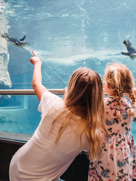Woman and child watching penguins swim at the International Antarctic Centre, Christchurch, New Zealand.