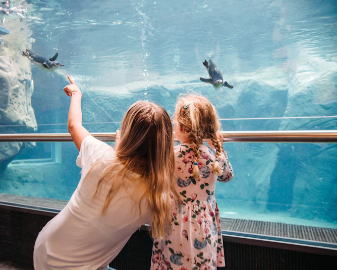 Christchurch International Antarctic Center Tickets