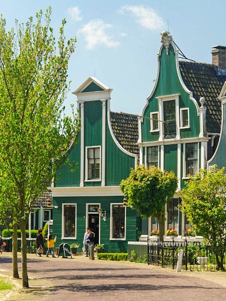 Zaanse Schans traditional green houses and trees on a sunny day.