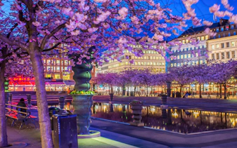 privater rundgang durch die stockholmer altstadt mit „abba – the museum“ – schnelleinlass-tickets ohne anstehen-7