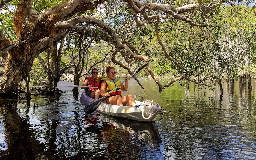 Kayaking through mangroves on K'gari (Fraser Island) during guided tour.