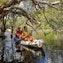 Guided kayaking