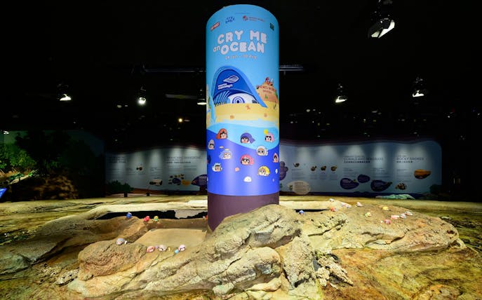 Singapore Oceanarium exhibit with educational displays and interactive elements.