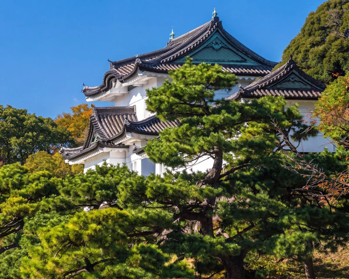 Tokyo Private Guided Walking Tour: Imperial Palace East Gardens and Edo Castle Ruins