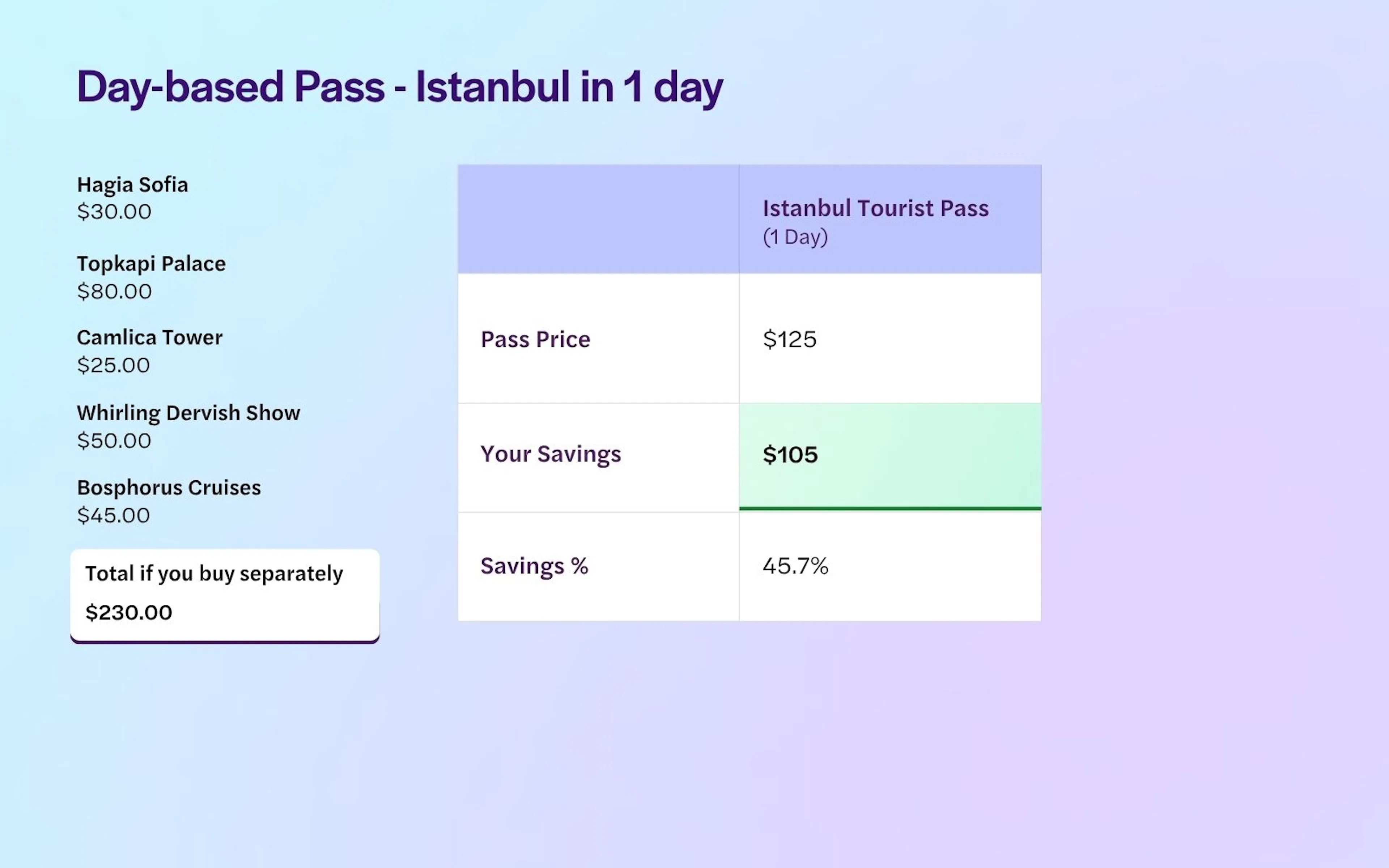 Istanbul 1 Day