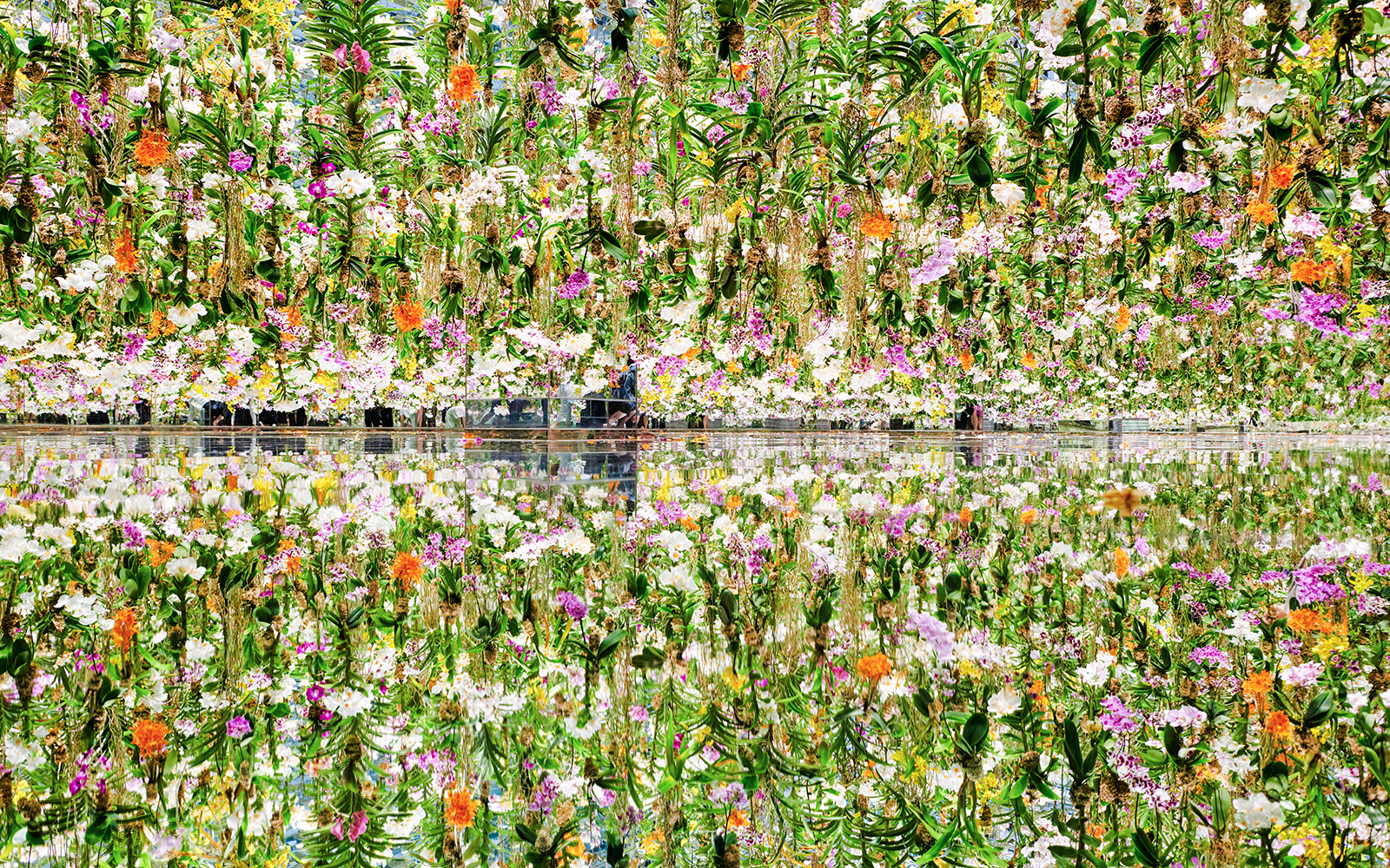 Teamlab Garden Tokyo digital art installation with vibrant light displays and interactive exhibits.
