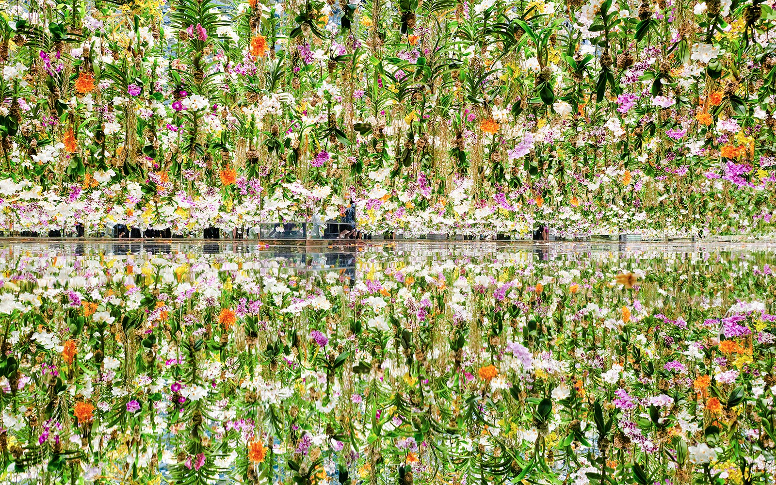 Teamlab Garden Tokyo digital art installation with vibrant light displays and interactive exhibits.