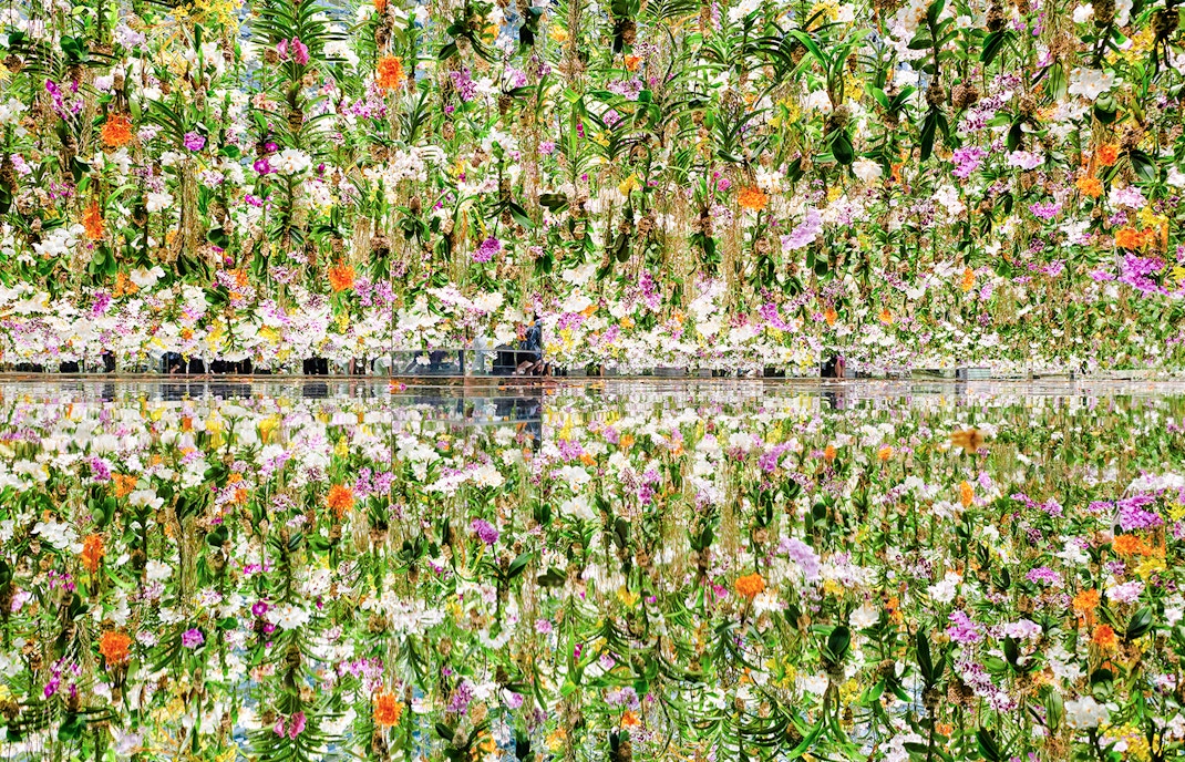 Teamlab Garden Tokyo digital art installation with vibrant light displays and interactive exhibits.
