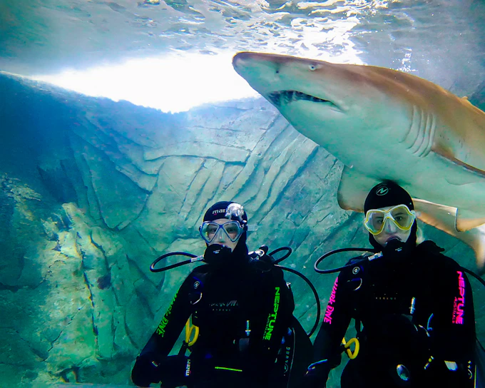 Shark Dive Xtreme Tickets at SEA LIFE Sydney Aquarium
