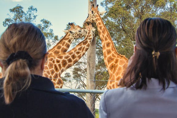 tickets to featherdale wildlife park-9