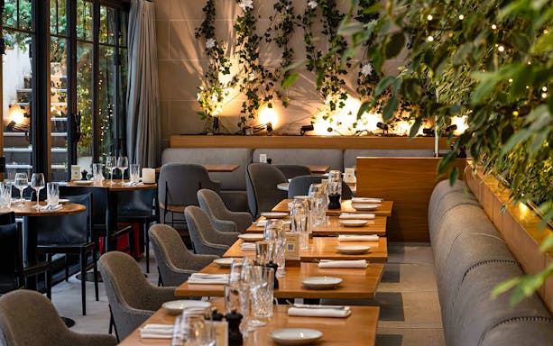 Flora Danica breakfast setup with tables, chairs, and greenery in a cozy dining area.
