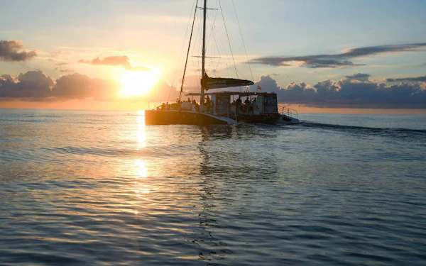 Mallorca Sunrise and Dolphin Watching Catamaran