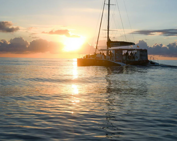 Mallorca Sunrise and Dolphin Watching Catamaran