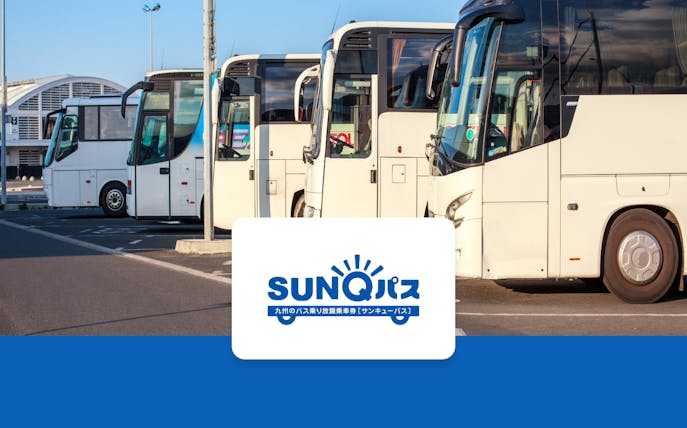 Multiple buses parked at a station with SunQ Pass signage visible.