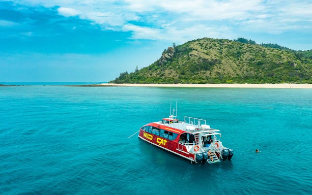 Catamaran on clear blue water near lush island, Wildcat Mackay All Inclusive Day Tour.