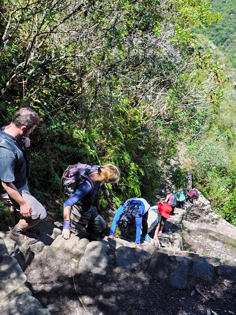 Tourists descending steep steps on Wayna Picchu, Machu Picchu, surrounded by lush greenery.