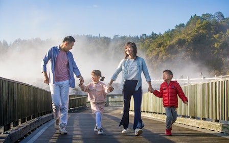 From Auckland: Hobbiton & Te Puia Tour with Festive Lunch & Hangi Dinner Buffet