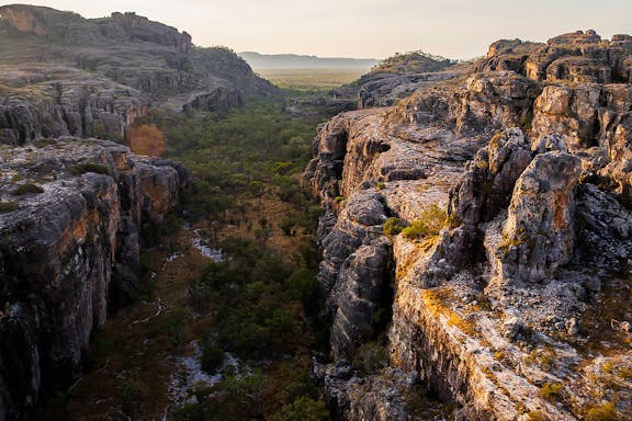 guided day tour of kakadu national park with yellow water billabong cruise-7