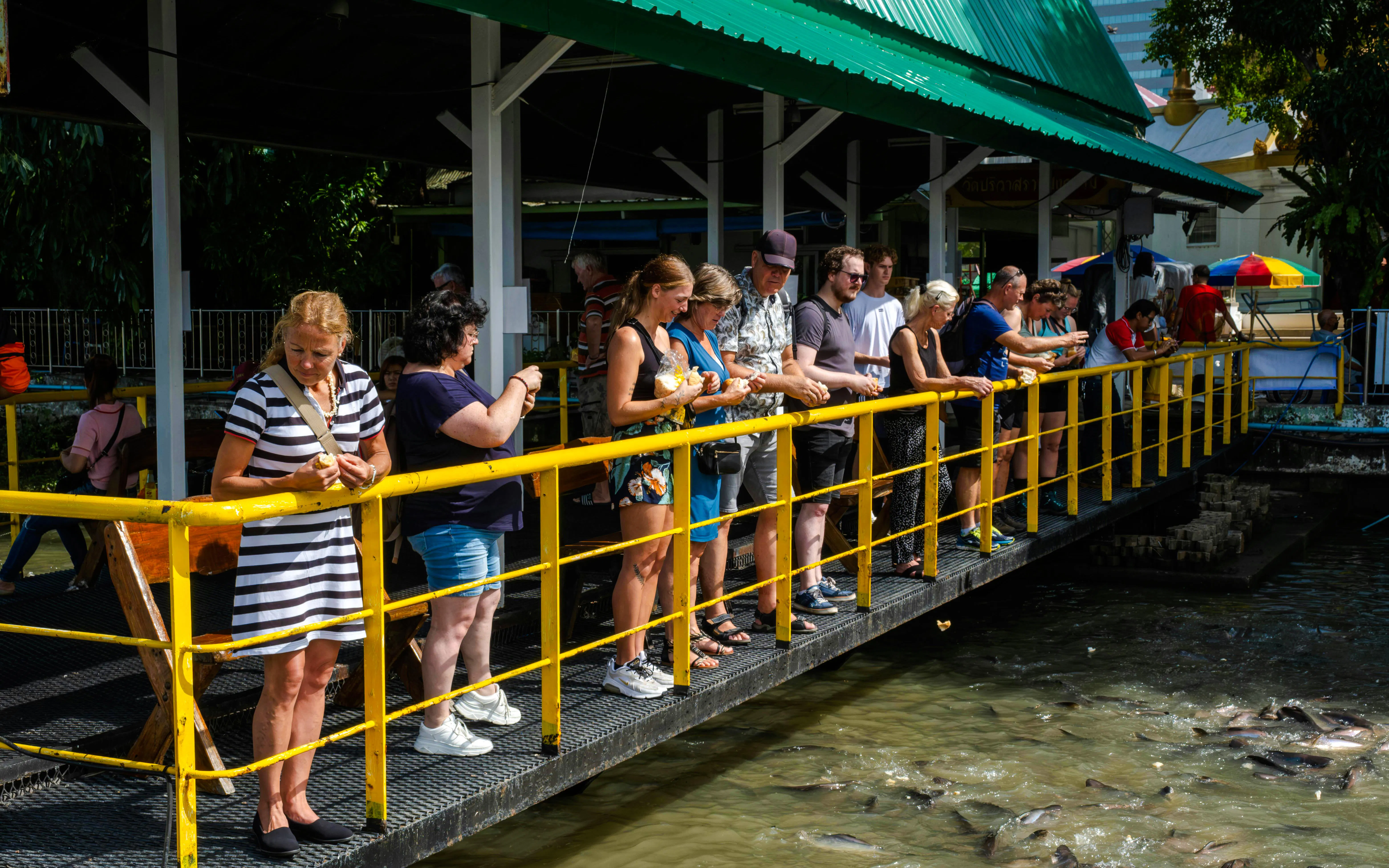 Tourists feeding fish from a pier during the Bangkok Beyond Bicycle Ride.