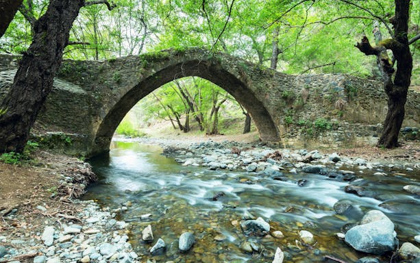 Venetian stone bridge over a flowing mountain river surrounded by trees.
